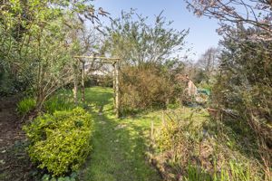 Garden in Summer- click for photo gallery